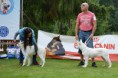 /album/fotogaleria/ajsza8a-jpg/